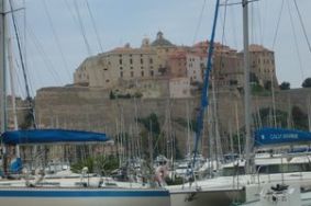 CALVI